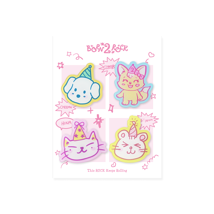 Acrylic Magnet Set (4 Pieces)