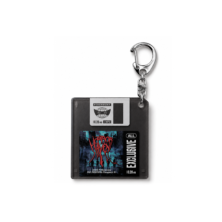 ARCHIVE DISK KEYRING