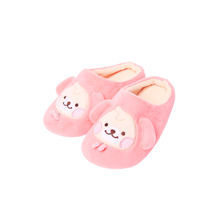 ROOM SHOES