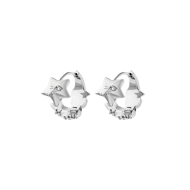 2026 TOUR EARRING